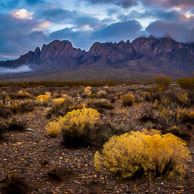 Organ Mountains