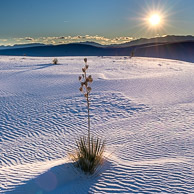 White Sands