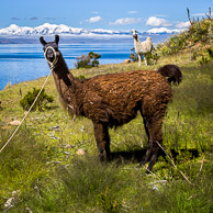 La Paz & Lake Titicaca