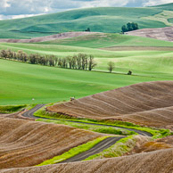 The Palouse, Day 1