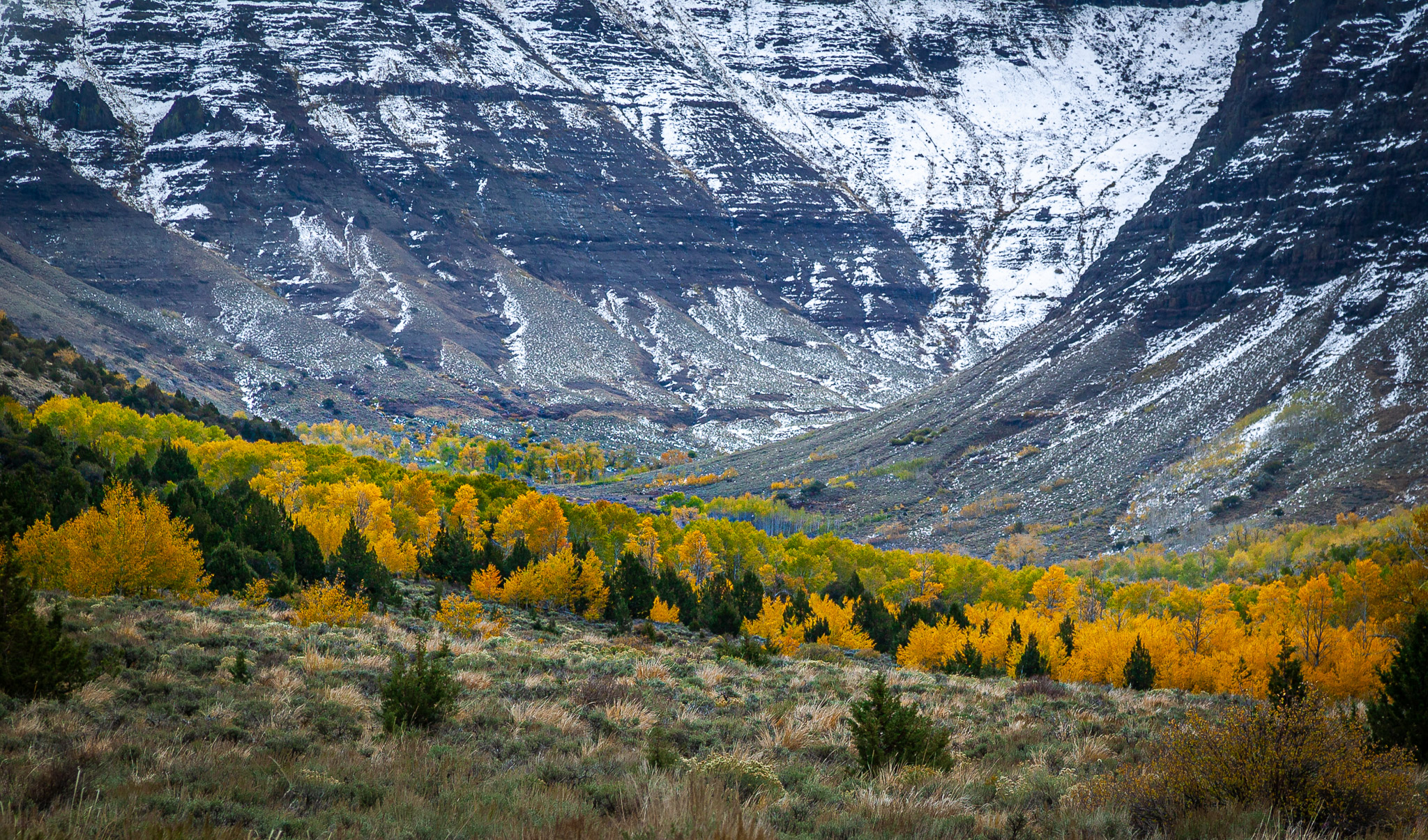 Big Indian Gorge, Steens Mountain, Oregon