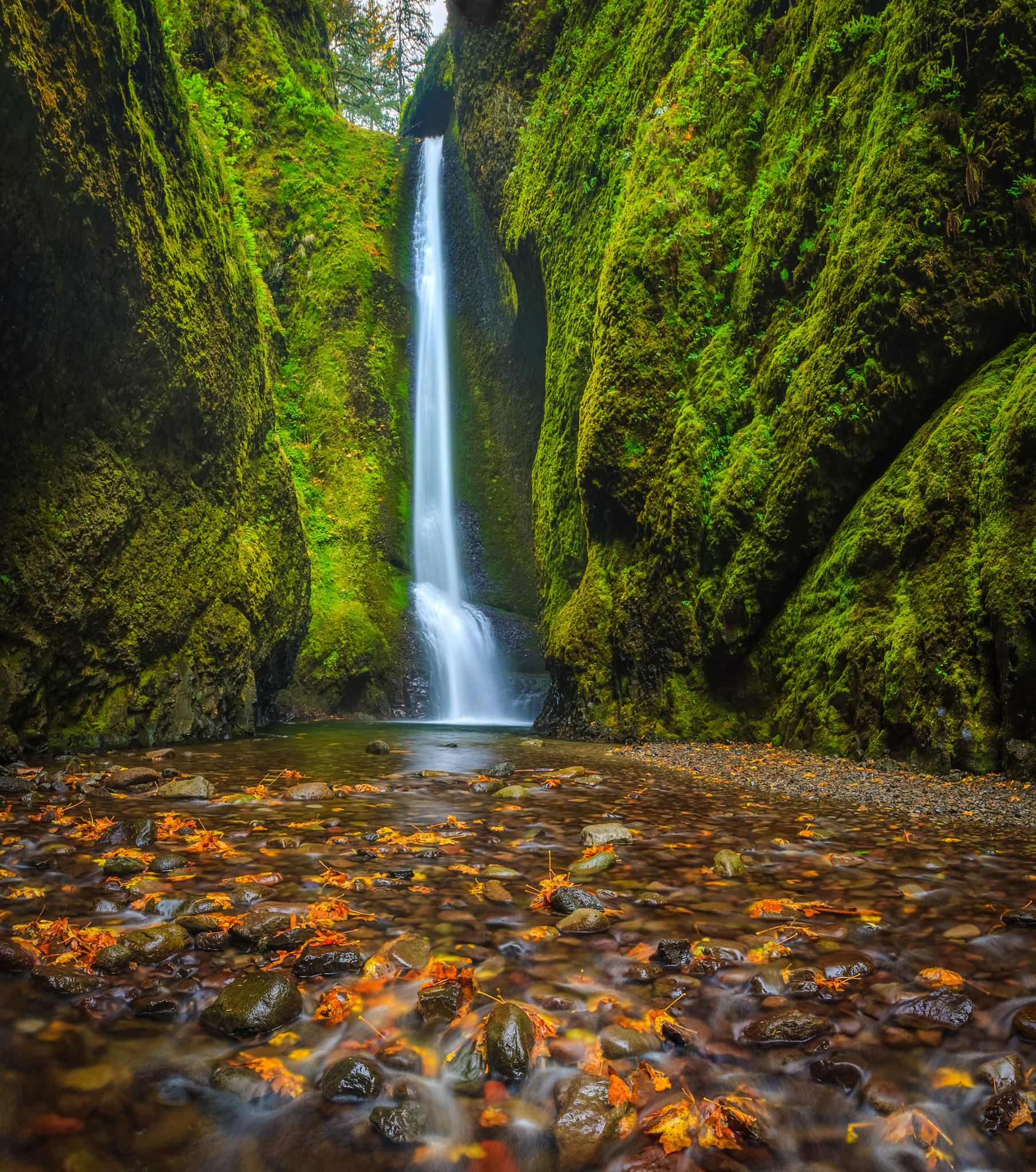 Lower Oneonta Falls, Columbia Gorge, Oregon