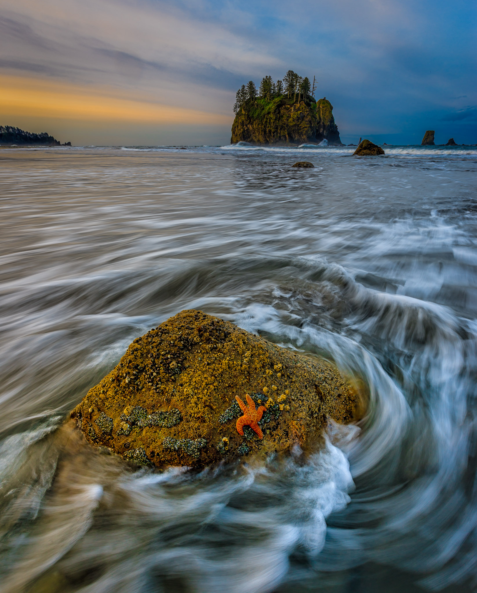 Second Beach, Olympic Peninsula, Washington