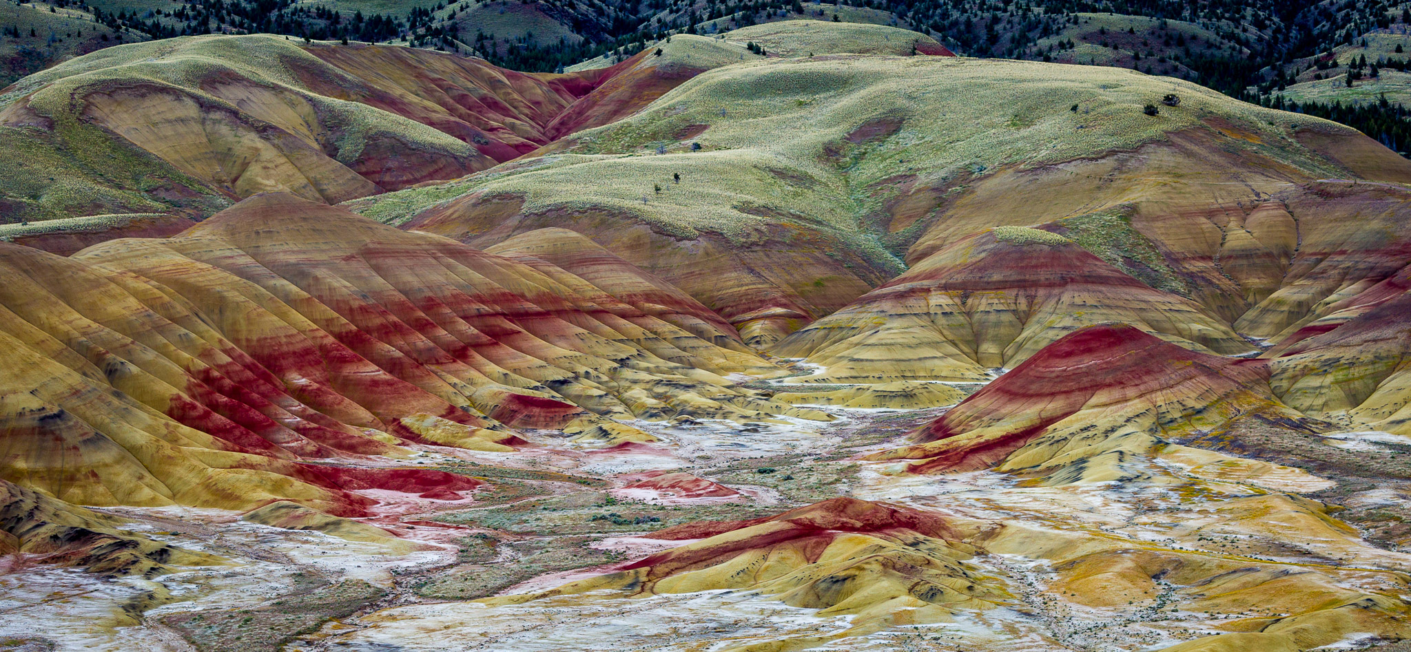 Oregon's Painted Hills