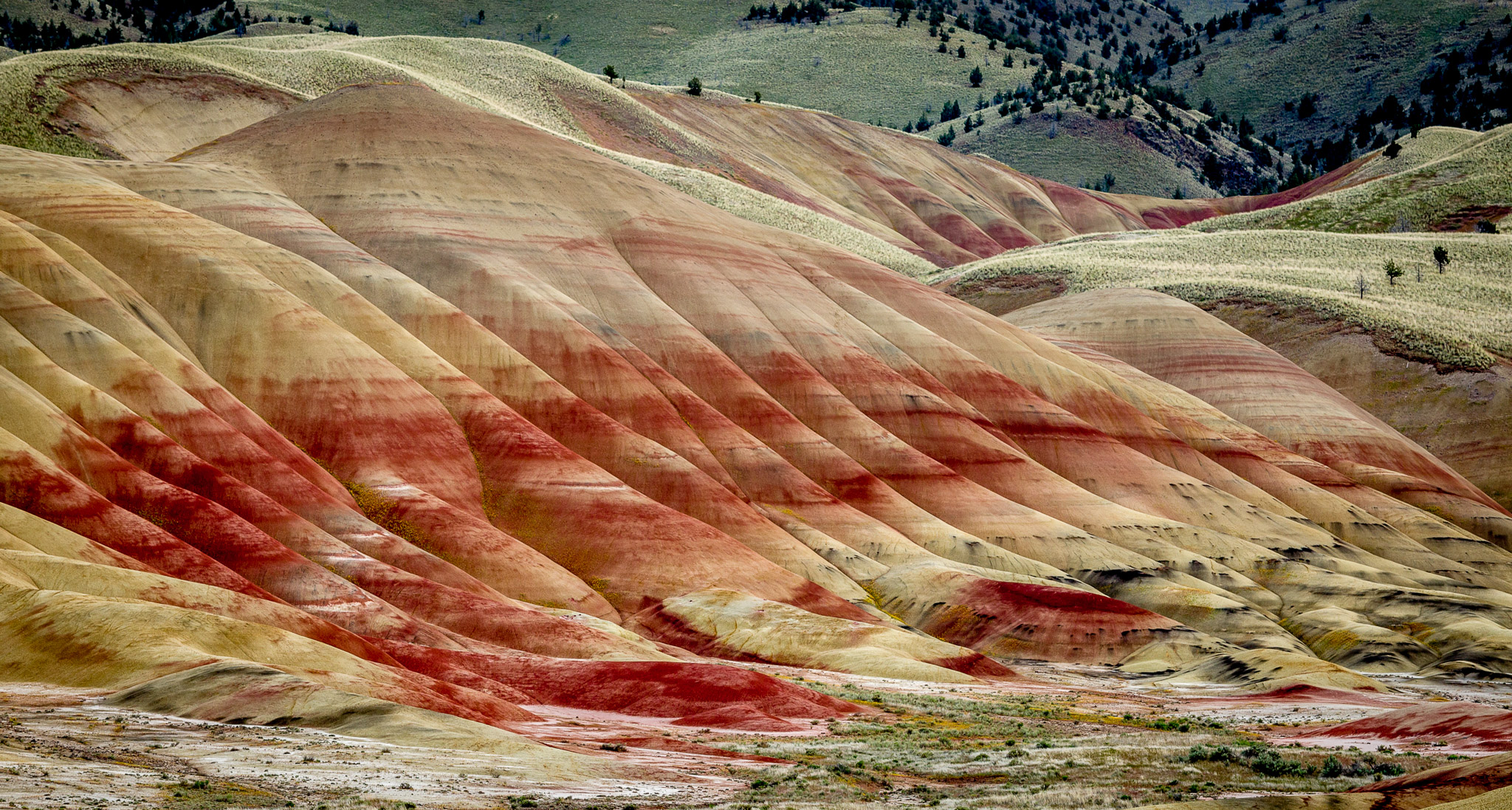 Oregon's Painted Hills