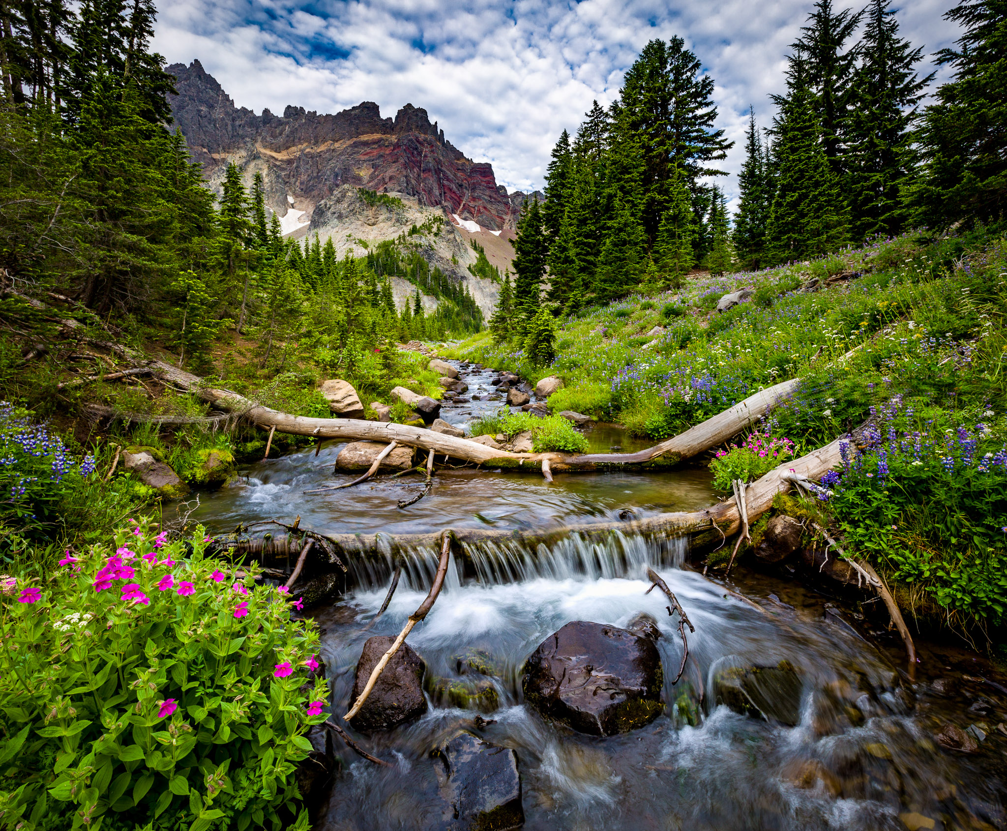 Canyon Creek & Three Fingered Jack, Oregon Cascades