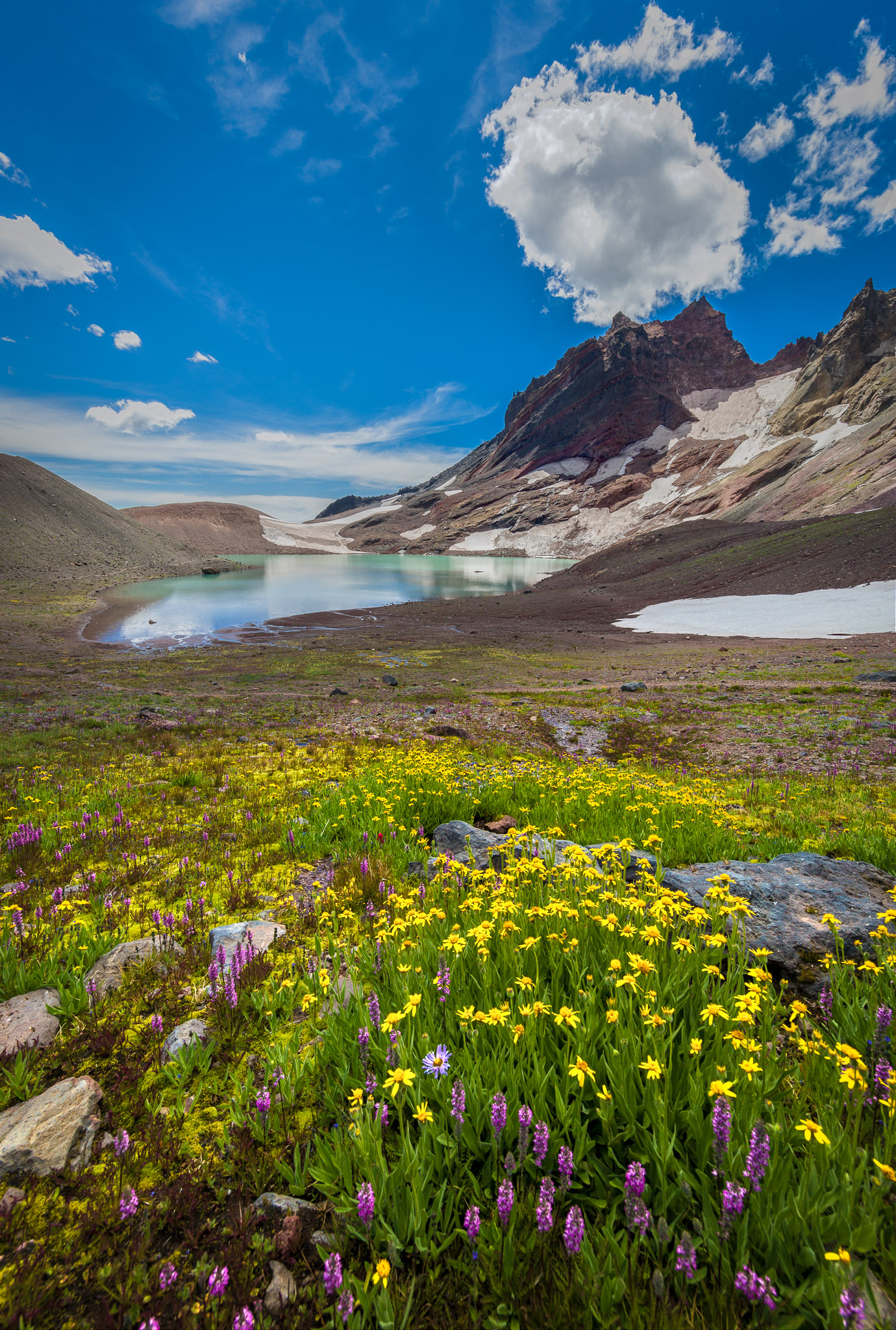 Wildflowers at Broken Top, Oregon Cascades