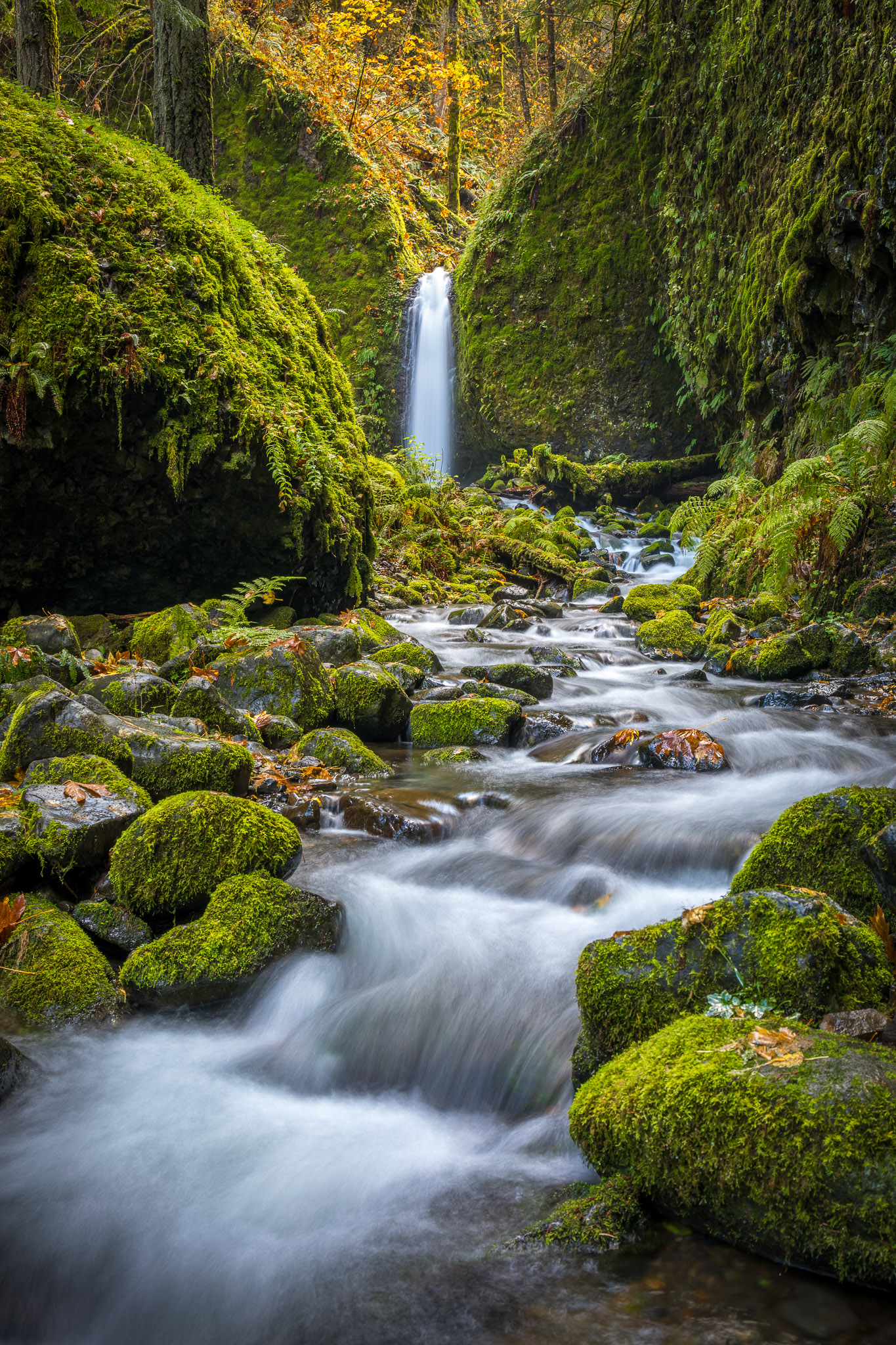 Mossy Grotto Falls, Columbia Gorge, Oregon
