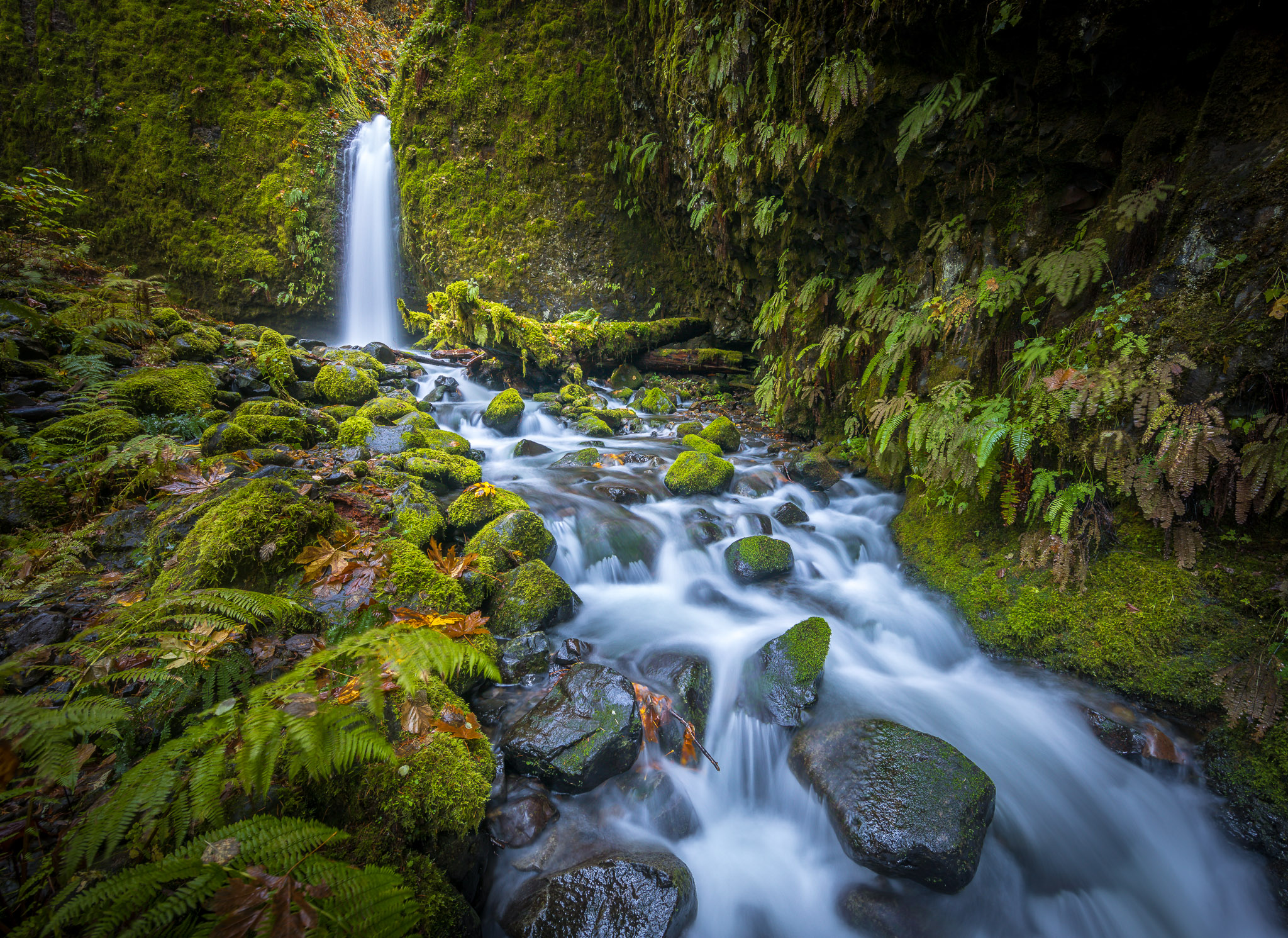 Mossy Grotto Falls, Columbia Gorge, Oregon