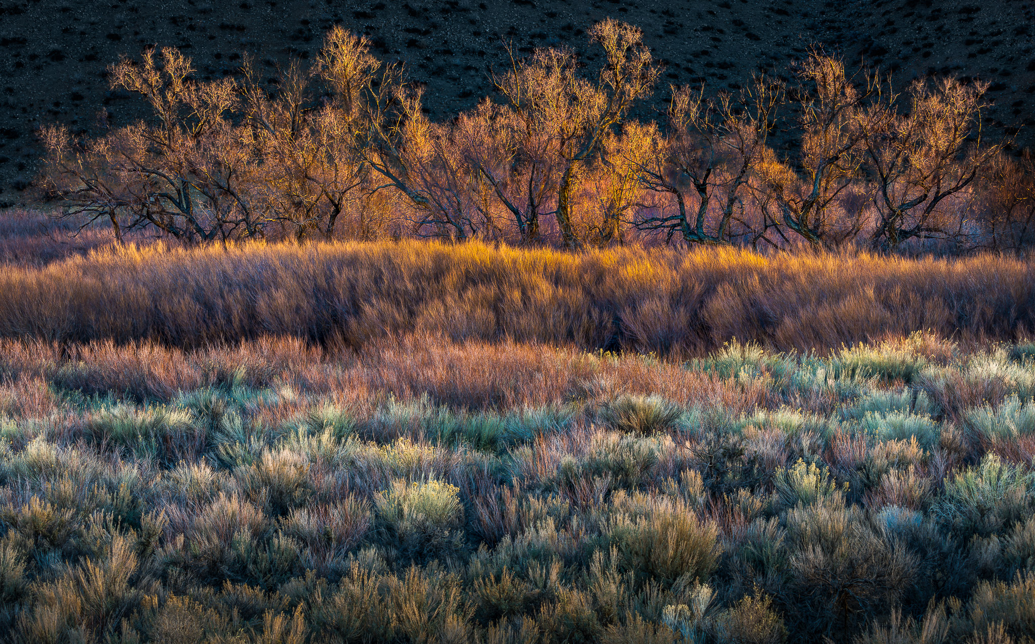Owens Valley Early Morning Color, California