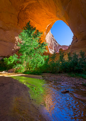 Jacob Hamlin (aka Lobo) Arch, Utah
