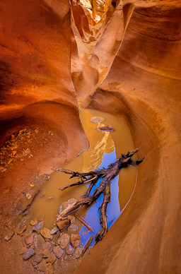 Little Wildhorse Canyon, Utah