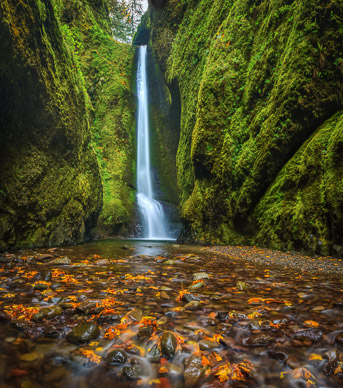 Lower Oneonta Falls, Columbia Gorge, Oregon