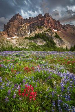 Upper Canyon Creek Meadows & Three Fingered Jack, Oregon Cascades