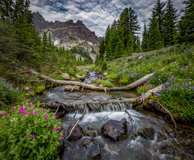 Canyon Creek & Three Fingered Jack, Oregon Cascades
