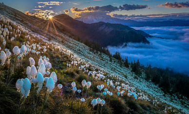 Sunrise on Coffin Mountain, Oregon Cascades