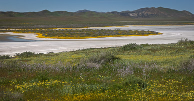 Carrizo Plain's Soda Lake