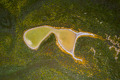 Carrizo Plain's Soda Lake pond