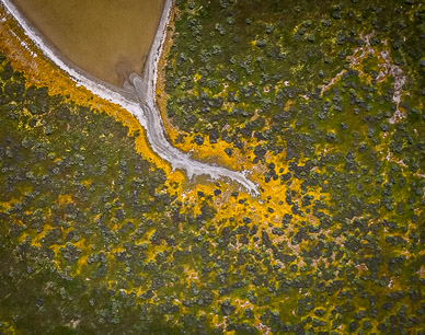 Soda Lake abstract