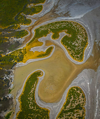 Carrizo Plain's Soda Lake shoreline
