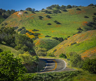 rs-20260309-154016-3561_v1.jpg California Poppies & Highway 58 into Carrizo Plain