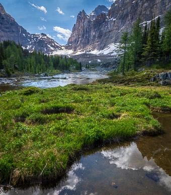 rs-20260713-111540-3778.jpg Pond & Cascade Lake, Opabin Plateau