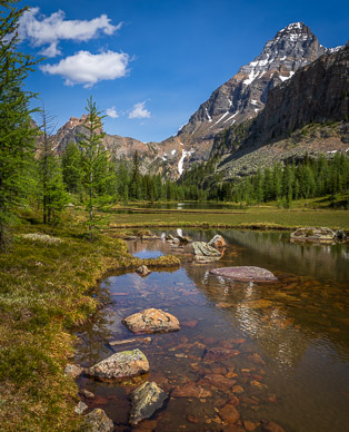 rs-20260713-113942-3806.jpg Moor Lakes, Opabin Plateau