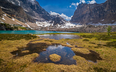 rs-20260713-131915-4207.jpg Opabin Lake