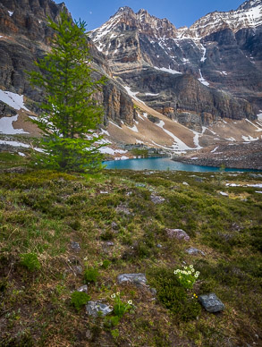 rs-20260713-133545-4262.jpg Opabin Lake
