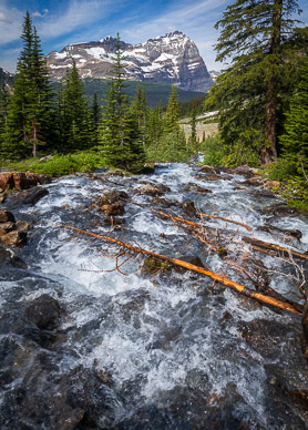 rs-20260715-113339-5149.jpg Victoria Lake outlet, Oesa Basin