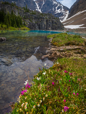 rs-20260715-130106-5467_72-stacked.jpg LaFroy Lake, Oesa Basin