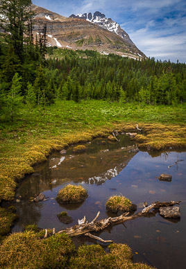 rs-20260716-113418-5889.jpg Schaffer Lake & Odaray Peak