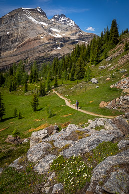 rs-20260716-143413-6119.jpg McArthur Lake trail