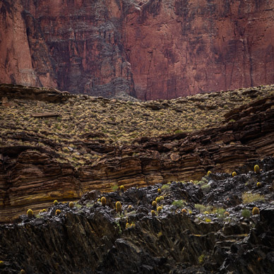 Layers of rock & vegetation [c. mile 129]