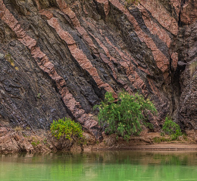 Colorado River riverside (rose granite intrusions into 1.8 billon year old gneiss) [c. mile 131]