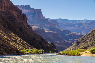 Colorado River [c. mile 135]