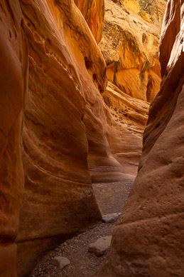 Little Wild Horse slot canyon
