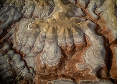 Chinle mudstone formations (aka painted hills)