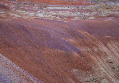 Chinle mudstone formations (aka painted hills)