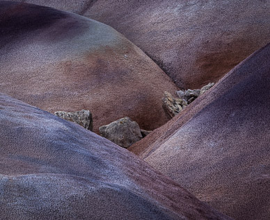 Chinle mudstone formations (aka painted hills)