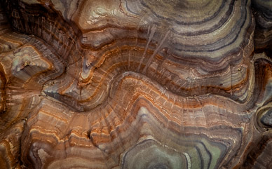 Chinle mudstone formations (aka painted hills)