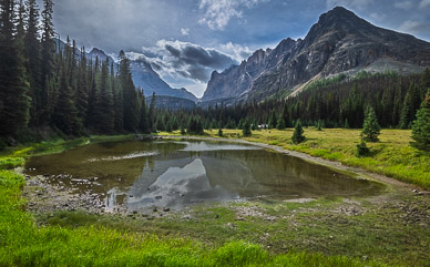 Elizabeth Parker Meadow