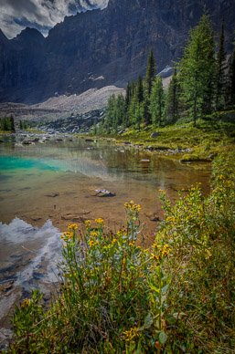 Upper Cascade Lake shoreline, Opabin Plateau