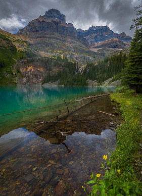 Lake O'Hara shoreline, 7 Veils Falls, Wiwaxy Peaks