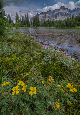 Schaffer Lake shoreline