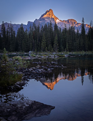 Sunrise on Cathedral Mountain from Lake O'Hara Lodge