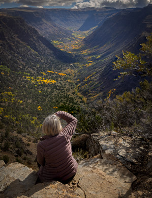 Big Indian Gorge & Martha