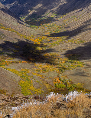 Frosted grasses over Kiger Gorge