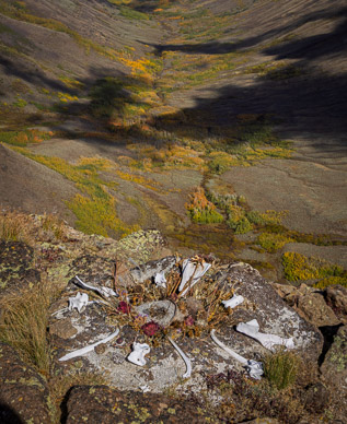 Bone "shrine" on Kiger Gorge's rim