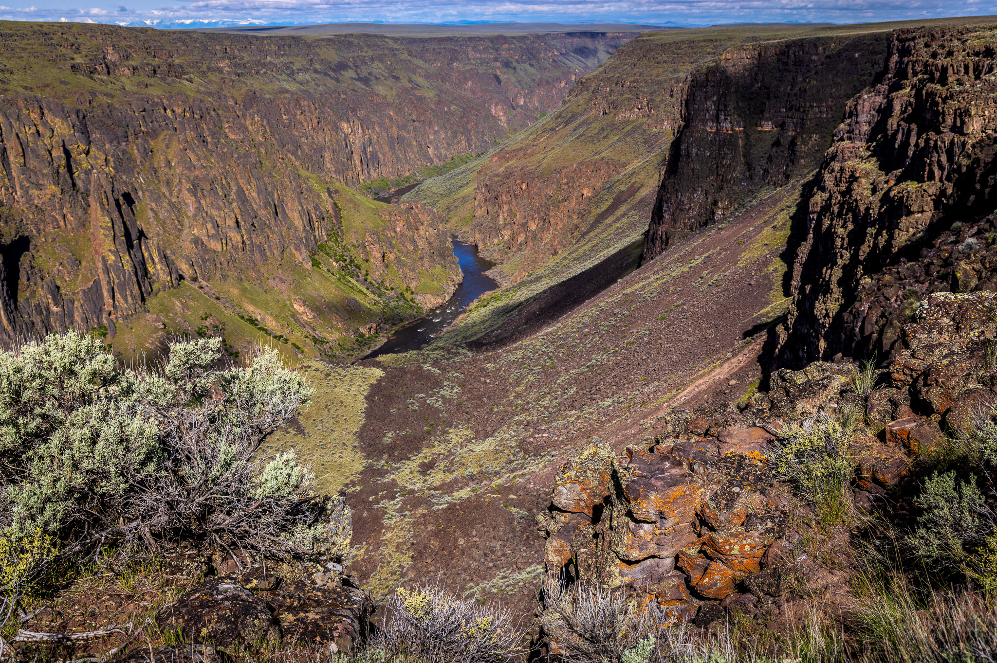 Upper Owyhee River